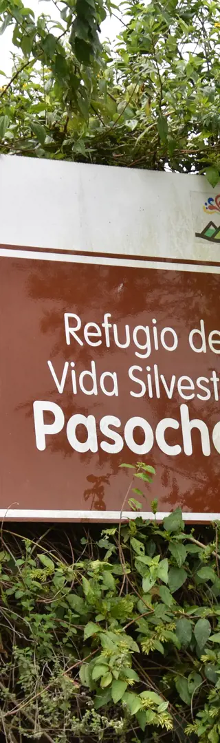Zwischenstopp im Nebelwald